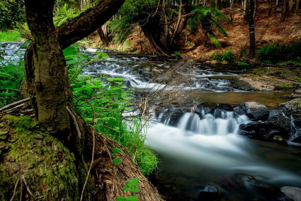 Big4 Tassie Getaway Park Алверстон Экстерьер фото